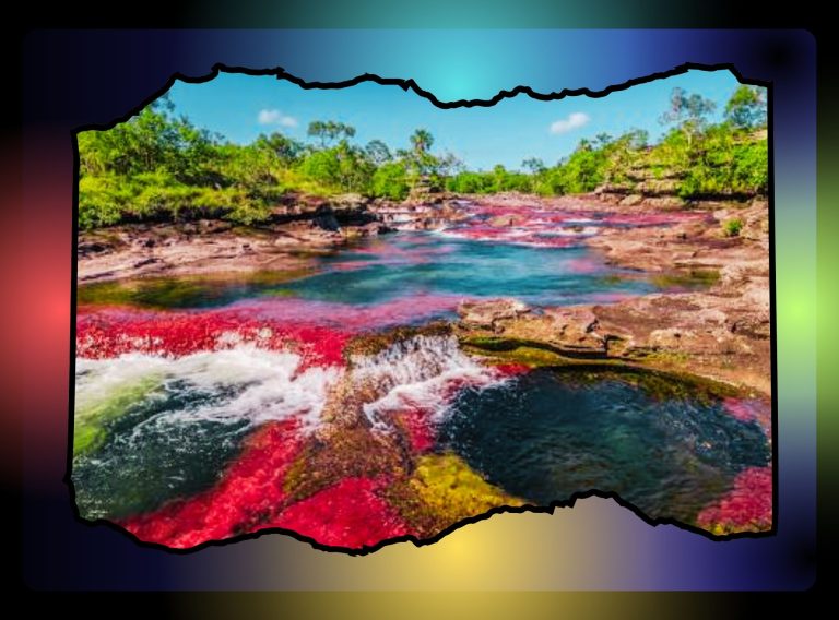 Descubre la Belleza Natural de Caño Cristales