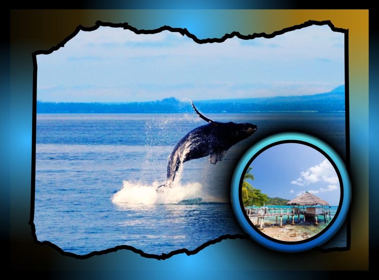 Descubre y Explora los Lugares Turísticos del Chocó, Colombia