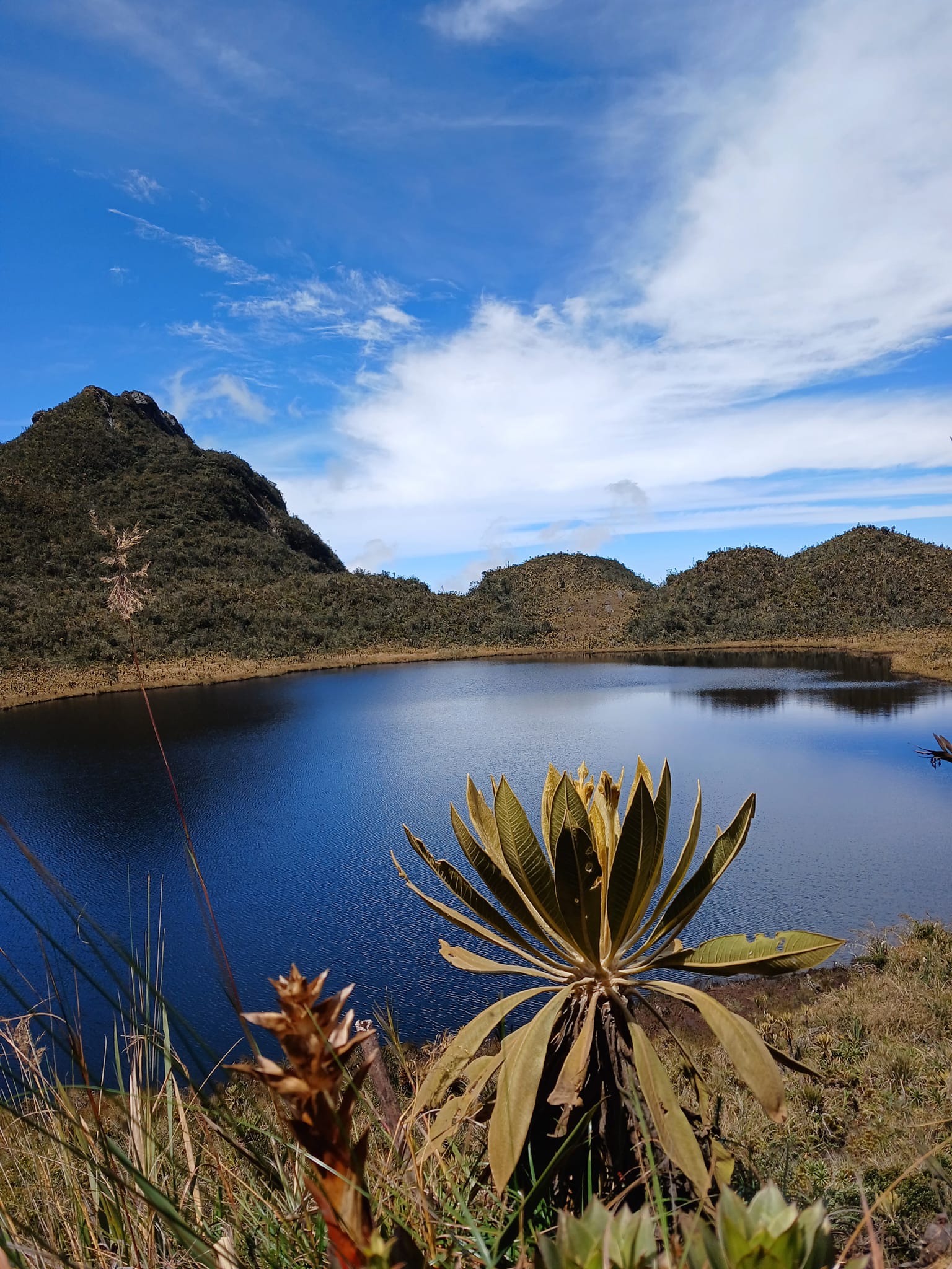 Explorando la Belleza Natural de Andes, Antioquia Guíate Turista